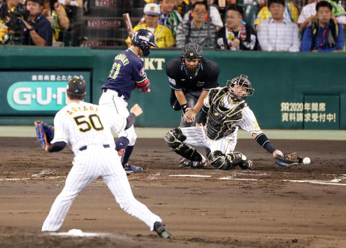 阪神対ヤクルト　3回表ヤクルト2死一塁、梅野は打者山川のときボールを後逸（撮影・加藤哉）