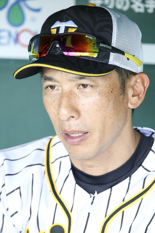 矢野監督は指名練習を確認しベンチで報道陣の質問に答える（撮影・上山淳一）