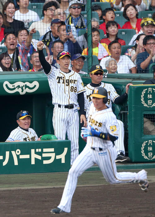 阪神対広島　8回裏阪神1死二塁、矢野監督（左から2人目）は北條（手前）の左越え2点本塁打に右手こぶしを突き上げ喜ぶ（撮影・上山淳一）