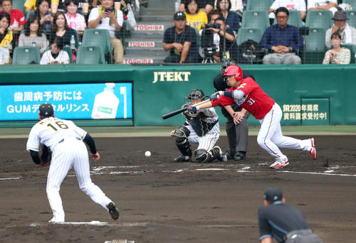 阪神対広島　2回表広島1死一、三塁、石原はスクイズを決める（撮影・上山淳一）