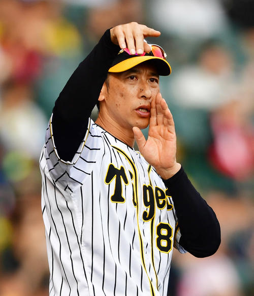 阪神矢野監督