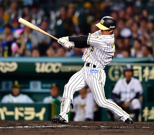 阪神対DeNA　4回裏阪神1死、右前打を放つ近本（撮影・清水貴仁）