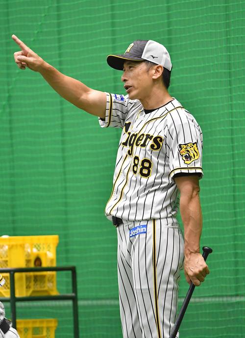 笑顔を見せながら練習を見守る矢野監督（撮影・上田博志）