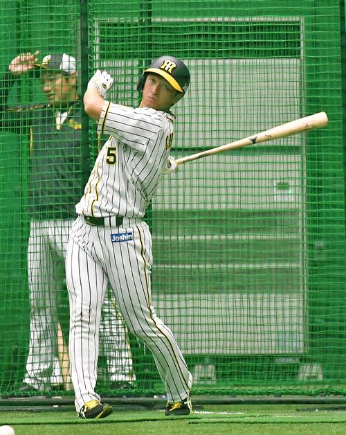 フリー打撃練習をして汗を流す近本光司（撮影・上田博志）