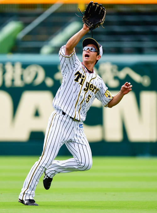 外野ノックを受ける阪神近本光司（撮影・清水貴仁）