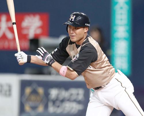 日本ハム田中賢介（2019年9月24日撮影）