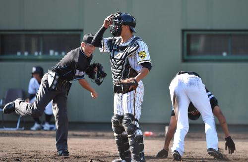 8回表ソフトバンク2死二塁、生還を狙うも横田の送球で憤死する水谷（右）。捕手は片山（撮影・上田博志）