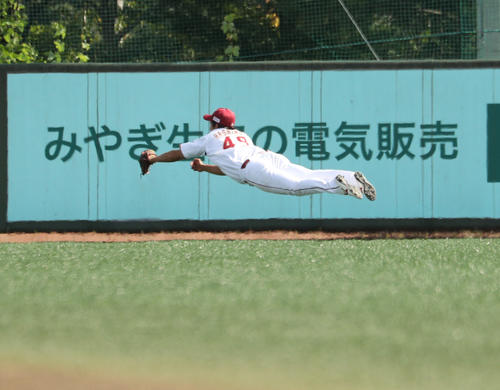 楽天対DeNA　4回表DeNA1死一、三塁、山下の左犠飛を好捕する橋本（撮影・野上伸悟）