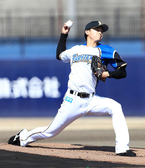 日本ハム田中瑛斗（2019年3月12日撮影）