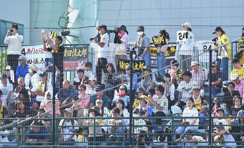 阪神横田慎太郎の引退試合で応援するファン（撮影・上田博志）