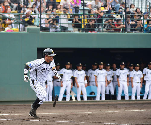 現役最後の打席で中前適時打を放った阪神城島健司（2012年9月29日撮影）