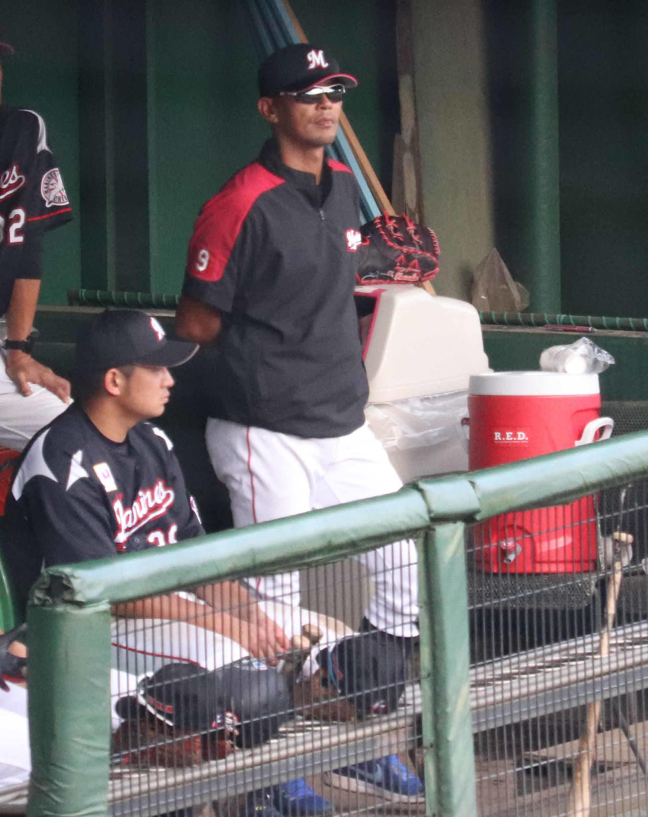 ロッテ福浦2軍コーチが再始動「まだ体がバキバキ」 - プロ野球 : 日刊