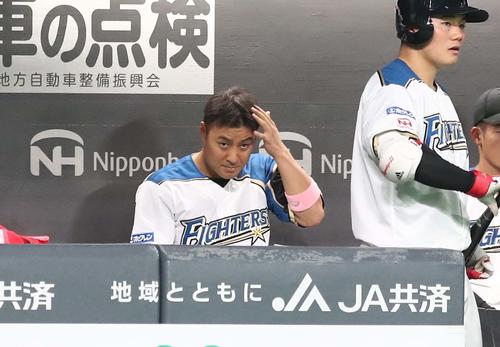 日本ハム対オリックス　4回裏日本ハム無死、三振に終わりベンチで渋い表情の田中賢（撮影・黒川智章）