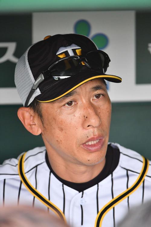 ベンチで取材に応じる阪神矢野監督（撮影・上田博志）