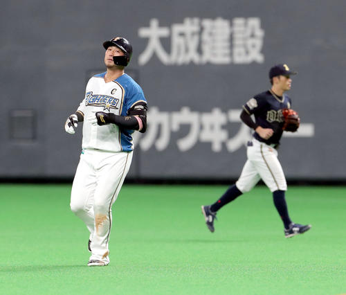 日本ハム対オリックス　4回裏日本ハム2死、中田は右飛に終わる（撮影・佐藤翔太）