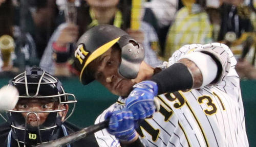 阪神マルテ（19年9月撮影）