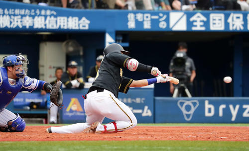 DeNA対阪神　4回表阪神1死一、三塁、木浪は倒れ込みながらスクイズバントを決める（撮影・丹羽敏通）