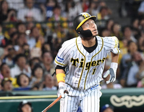 阪神対中日 7回裏阪神無死、代打鳥谷敬は左飛に倒れる(撮影・奥田泰也)=2019年9月30日甲子園球場
