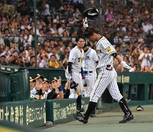 阪神対中日　7回裏阪神無死、代打鳥谷は右飛に倒れ、ファンの声援に応えてベンチに戻る（撮影・奥田泰也）