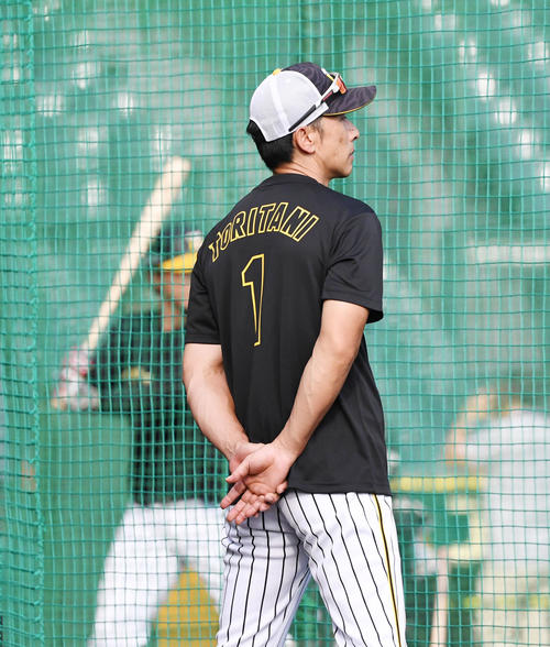 阪神対中日　矢野燿大監督は鳥谷敬のTシャツを着て練習を見つめる（撮影・奥田泰也）