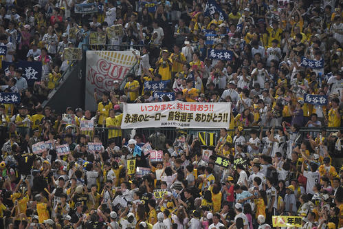 阪神対中日　7回代打鳥谷敬、ファン応援（撮影・奥田泰也）