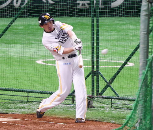 全体練習後、居残り特打をする松田宣（撮影・今浪浩三）