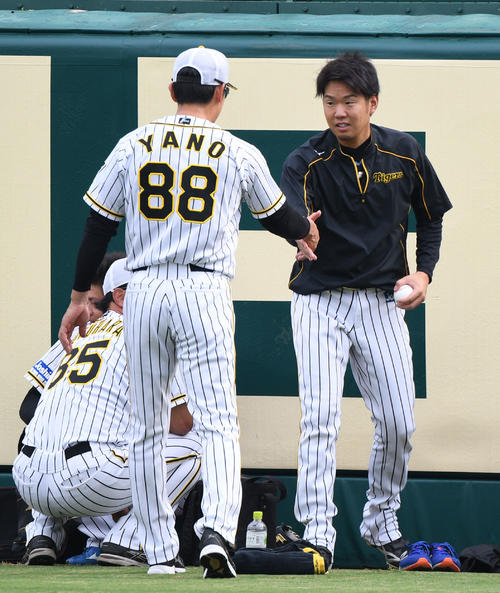 矢野監督（左）と握手をかわす西（撮影・渦原淳）