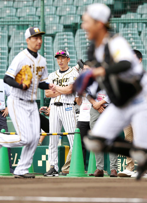 投内連係守備を見守る矢野監督（撮影・上山淳一）