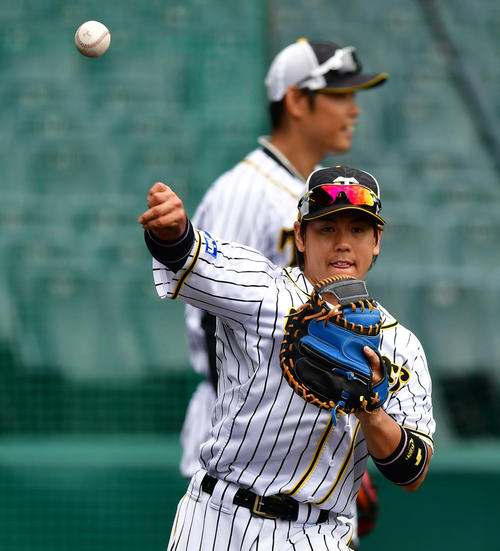 キャッチボールを行う梅野隆太郎（撮影・清水貴仁）