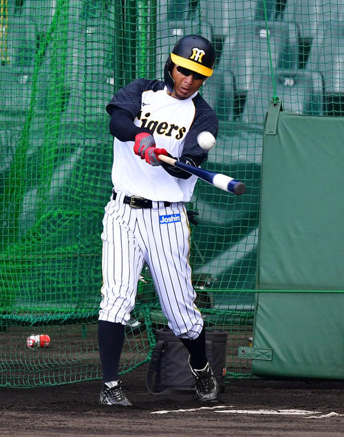 フリー打撃を行う鳥谷敬（撮影・清水貴仁）
