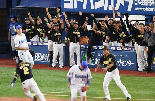 DeNA対阪神　8回表阪神2死二、三塁、北條の2点適時三塁打に喜びを爆発させる阪神ベンチ（撮影・鈴木みどり）