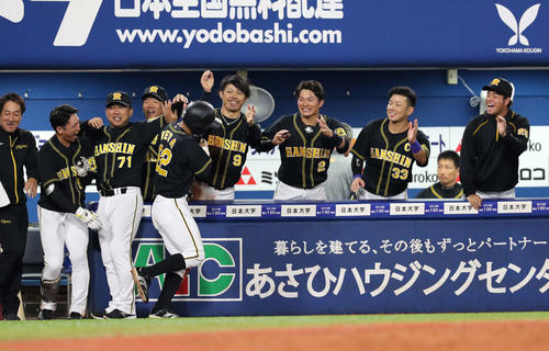 DeNA対阪神　8回表阪神1死三塁、梅野の中犠飛で生還した植田（左から5人目）を笑顔で迎える選手たち（撮影・鈴木正人）