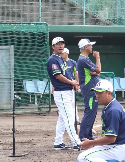 フェニックスリーグ開幕戦の試合前練習を見るヤクルト高津監督（撮影・保坂恭子）
