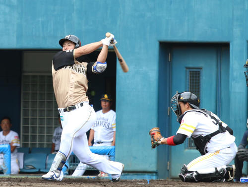 右肘手術から復帰戦に臨んだ日本ハム松本（撮影・田中彩友美）