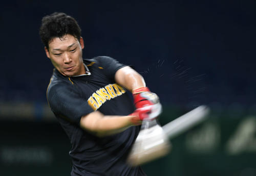 東京ドームで打撃練習を行う阪神大山（撮影・加藤諒）