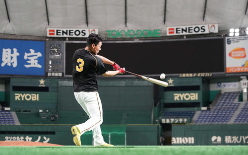 東京ドームで打撃練習を行う阪神大山（撮影・加藤諒）