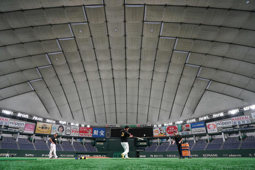東京ドームで打撃練習を行う阪神大山（撮影・加藤諒）