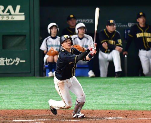 9回表阪神無死、右越え勝ち越し本塁打を放つ大山悠輔（撮影・清水貴仁）