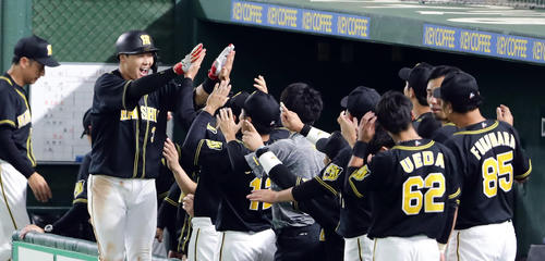 巨人対阪神　9回表阪神無死、大山は右中間勝ち越しソロ本塁打を放ち笑顔でナインとハイタッチ（撮影・浅見桂子）