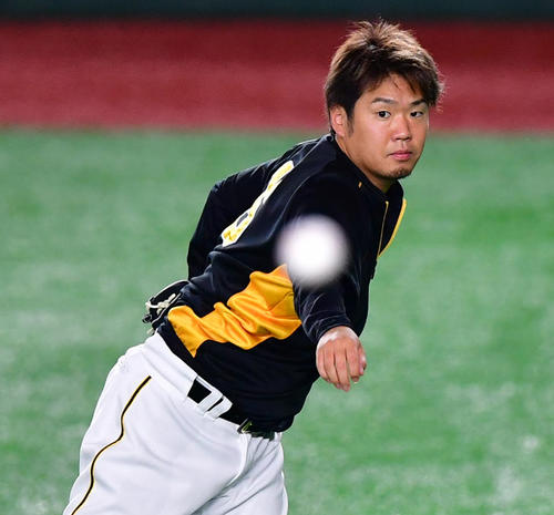 11日、キャッチボールを行う西（撮影・清水貴仁）