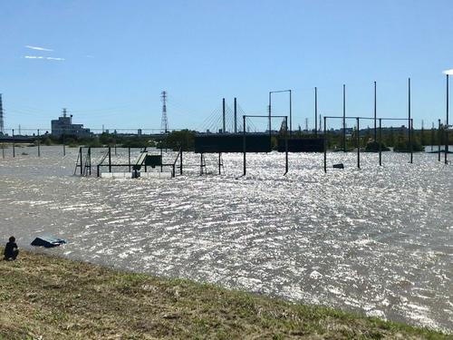 バックスクリーンや電光掲示板のみが見える状態の戸田球場（撮影・保坂恭子）
