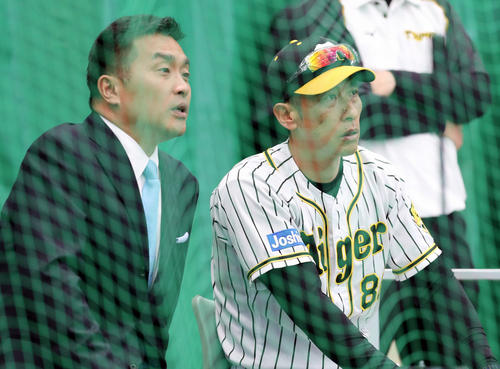 オネルキ・ガルシアの投球を捕手の後ろから見つめる阪神矢野監督（右）と山本昌氏（2019年2月6日撮影）