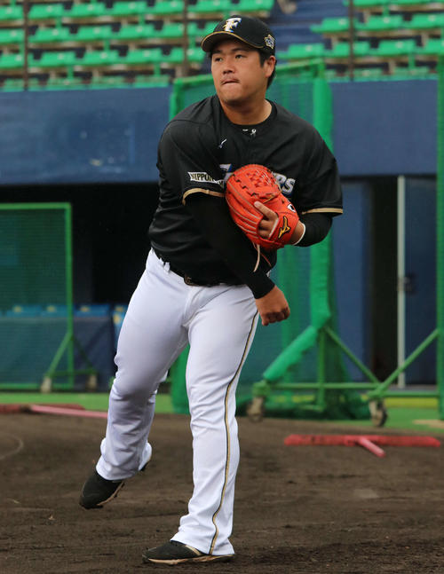 キャッチボールをする日本ハム横尾（撮影・山崎純一）