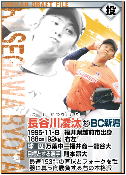 ドラフトファイル：長谷川凌汰