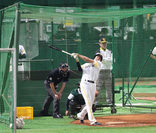 打撃練習を行う柳田悠岐（撮影・梅根麻紀）