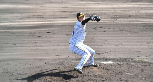 阪神育成石井将希投手（撮影・真柴健）