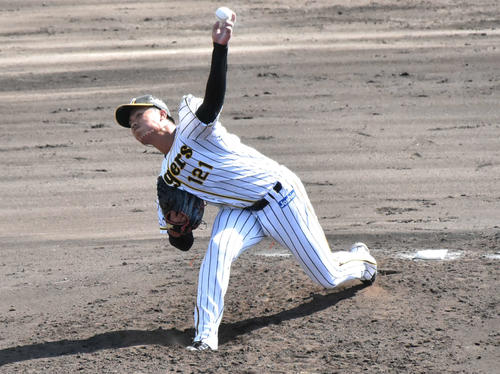 阪神育成石井将希投手（撮影・真柴健）
