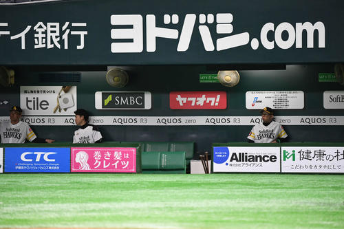 ソフトバンク対巨人　お父さん犬が不在のソフトバンクベンチ（撮影・山崎安昭）
