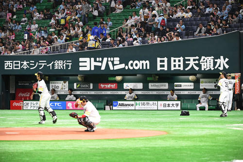 ソフトバンク対巨人　お父さん犬が不在のソフトバンクベンチ（撮影・山崎安昭）