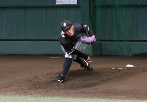 ブルペンで投球練習を行う日本ハム吉田輝（撮影・中島宙恵）